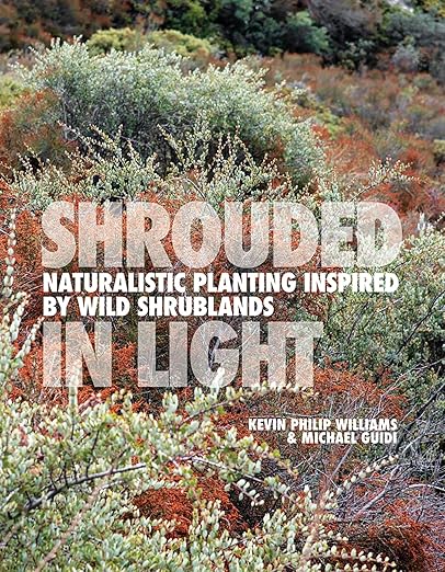 Kevin Philip Williams, Michael Guidi: Shrouded in Light (Hardcover, 2024, Filbert Press)